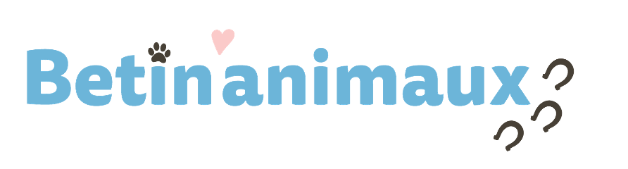 Betin'animaux - La Nounou de vos animaux